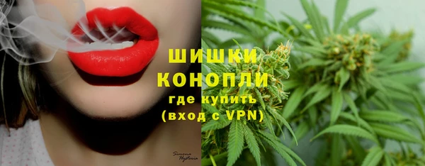 молекула духа Ладушкин