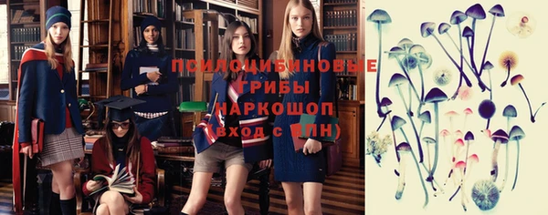 a pvp Кулебаки