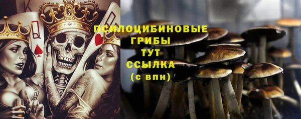 марки lsd Лабытнанги