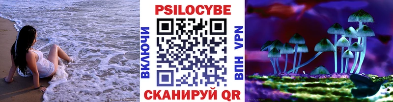OMG как зайти  магазин  наркотиков  Красный Сулин  Псилоцибиновые грибы мухоморы 