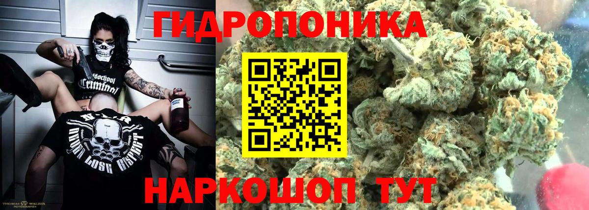 Шишки марихуана марихуана Красный Сулин